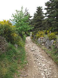 COMPOSTELLE 2011 128