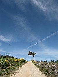 COMPOSTELLE 2011 221