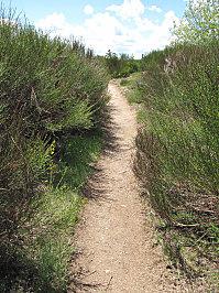 COMPOSTELLE 2011 245