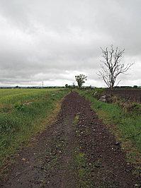 COMPOSTELLE 2011 015