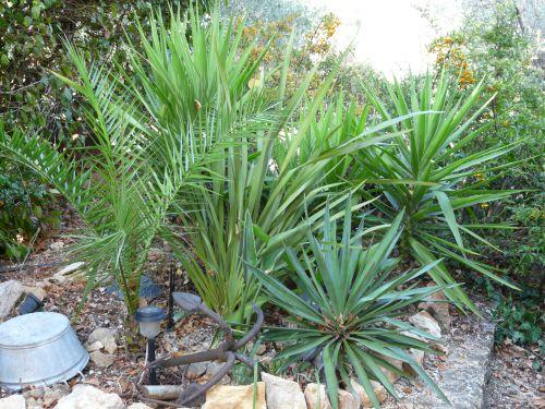 Eté indien?... Journal du 10 septembre 2011