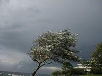 La photo du dimanche #11 La photo du dimanche #11