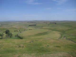 Livraison de fleurs par Interflora dans l'Aubrac