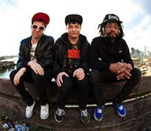 The Death Set & Cobrateens & S