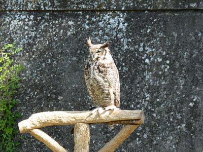 Un Samedi à Bouliac