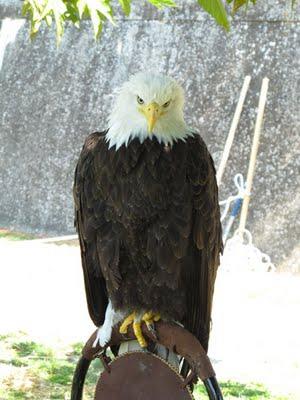 Un Samedi à Bouliac