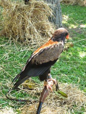Un Samedi à Bouliac