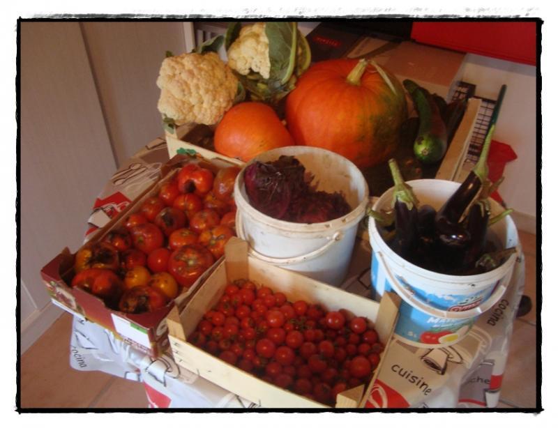 Au retour de la motte, 10 septembre 2011