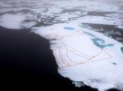 Greenpeace recrée l’Homme Vitruve Pôle Nord