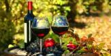 10 livres pour découvrir les vins issus de l'agriculture bio et de la biodynamie