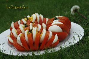 tomate_accordeon_oeuf