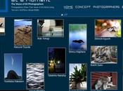 60ème anniversaire Tamron