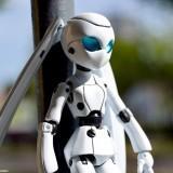 May 2011 : Yotsuba & Drossel #2