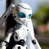 May 2011 : Yotsuba & Drossel #2