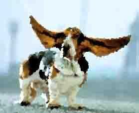 gueant-grandes-oreilles-police-ecoute-telephoniques-le-monde-journaliste