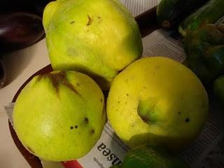 Mon papa est venu me voir et m'a apporté son jardin avec lui...