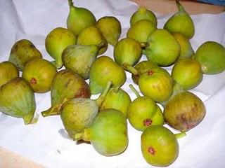 Mon papa est venu me voir et m'a apporté son jardin avec lui...