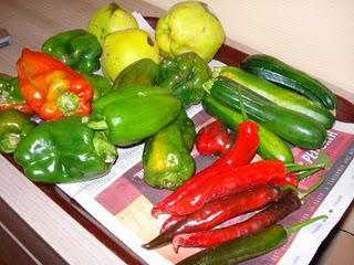 Mon papa est venu me voir et m'a apporté son jardin avec lui... Mon papa est venu me voir et m'a apporté son jardin avec lui...