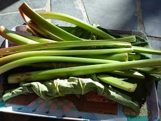 Mon papa est venu me voir et m'a apporté son jardin avec lui...