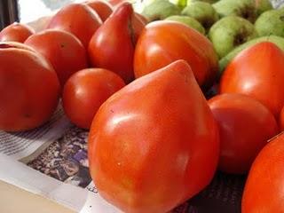 Mon papa est venu me voir et m'a apporté son jardin avec lui...