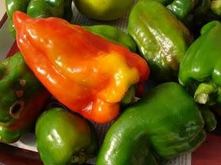 Mon papa est venu me voir et m'a apporté son jardin avec lui...