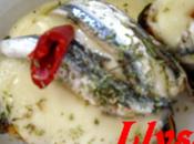 Croques mozzarella anchois marinés