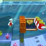 Super Mario 3D Land en images