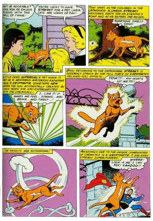 Des comics et des chats : Catfight !