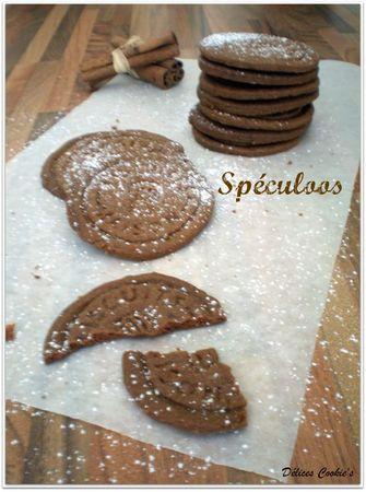 speculoos 1