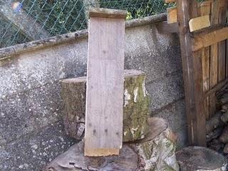 Comment fabriquer un abri à chauve-souris ?