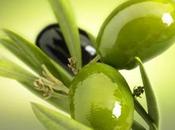 l’olive coeur créations littéraires