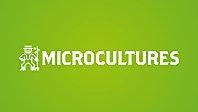 MICROCULTURES0