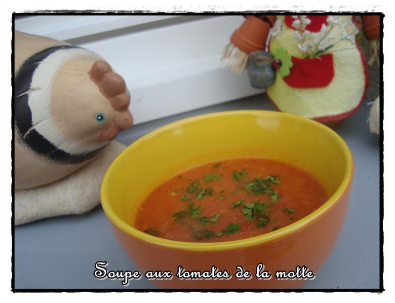 Soupe aux tomates de la motte