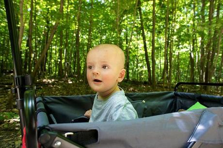 Promenons nous dans le bois... DSC03286