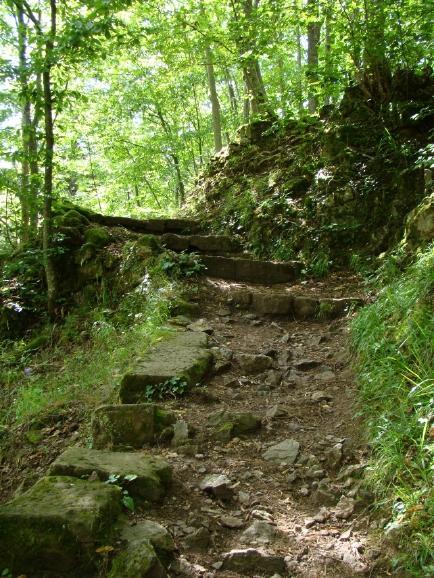 bois La photo du mois #11