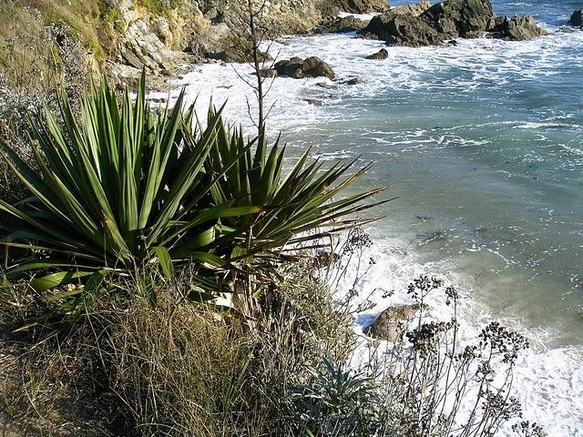 des ing. et des hommes