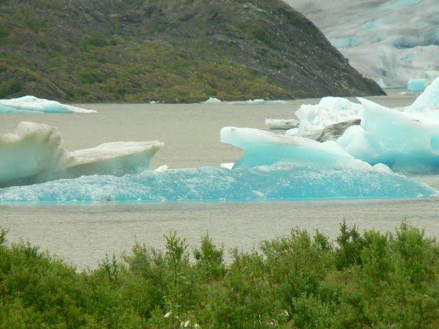 Croisière en Alaska: le Glacier de Mendenhall