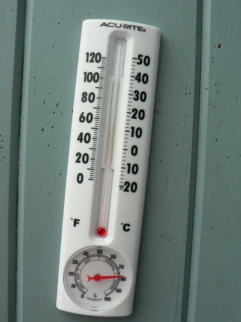Croisière en Alaska: le Glacier de Mendenhall