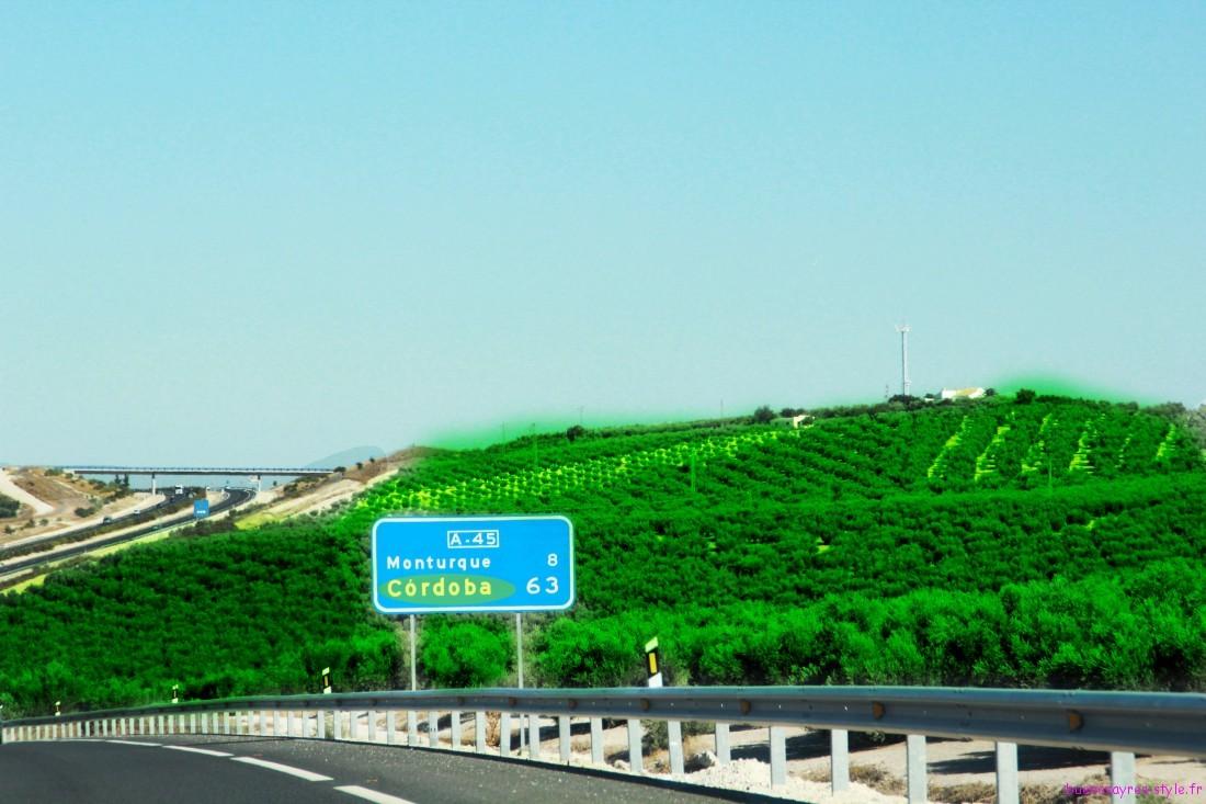 Road Trip jour 5 Cordoue / Dia 5 Cordoba