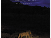 Mogwai Earth Division