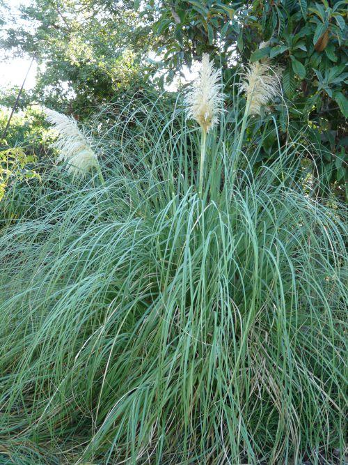 En dépit du temps estival, les travaux d'automne se poursuivent : journal du 16 septembre 2011