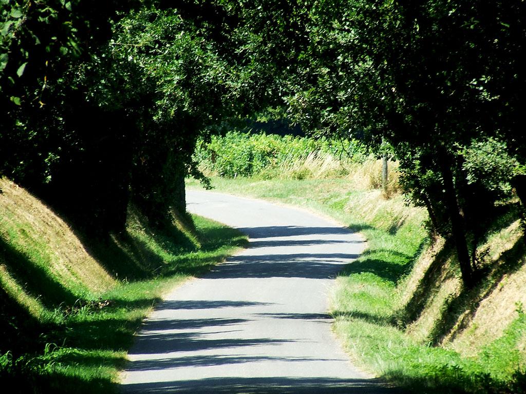 chemin de la maison 365 / one day, one pix, #08