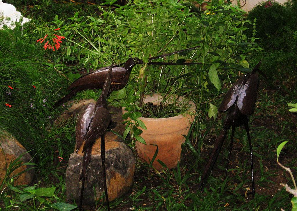 oiseaux en fer battu 365 / one day, one pix, #08