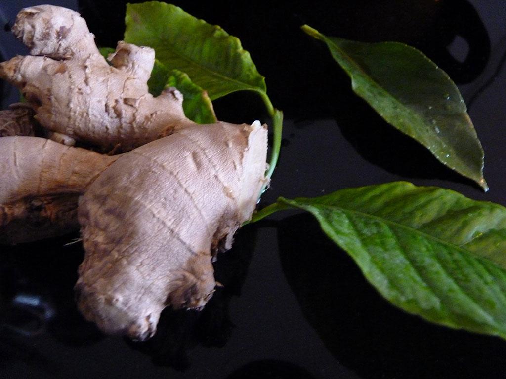  365 / one day, one pix, #08