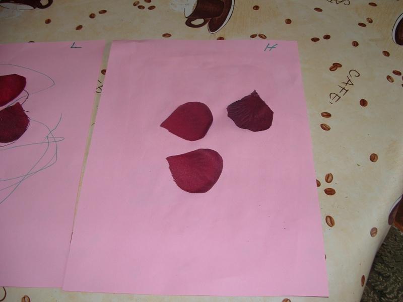 Image hébergée par servimg.com