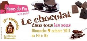 Le chocolat dans tous les sens au Haras du Pin, le 9 octobre
