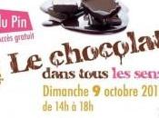 chocolat dans tous sens Haras Pin, octobre