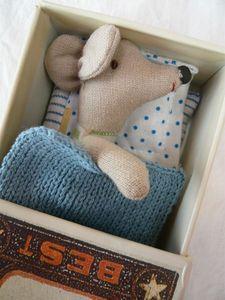 souris Maileg dans sa boîte