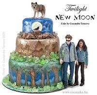 Dévorez la saga Twilight !