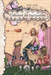 Cabinet de curiosités